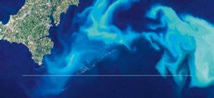 Science & Vie 1303 POUR LA VIE MARINE, UN GRAND SAUVE-QUI-PEUT