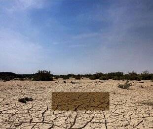 Science & Vie 1303 En Afrique, le spectre de la famine