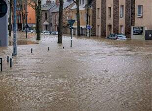 Science & Vie 1303 En France aussi, on déménage