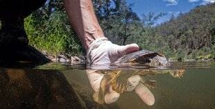 Science & Vie 1303 L’HUMAIN A UN RÔLE À JOUER, LEQUEL ?