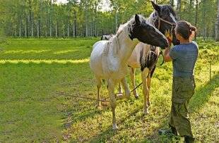 Science & Vie 1303 Nous transmettons bien notre peur aux chevaux !