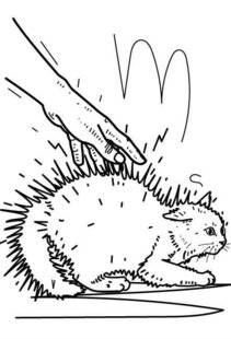 Science & Vie 1303 D'où vient la décharge quand on touche quelqu'un ?