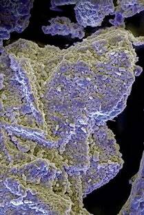 Science & Vie 1303 Comment le bicarbonate de soude capture-t-il les odeurs ?