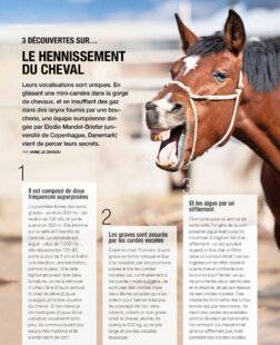Science & Vie 1304 LE HENNISSEMENT DU CHEVAL