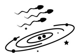 Science & Vie 1305 En bref