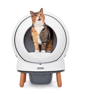 Science & Vie 1305 Le bac à litière qui veille sur la santé du chat