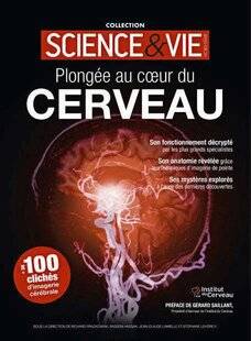 Science & Vie 1306 PLONGEZ AU CŒUR DE VOTRE CERVEAU