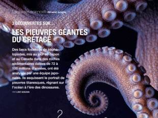 Science & Vie 1306 LES PIEUVRES GÉANTES DU CRÉTACÉ