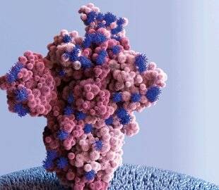 Science & Vie 1306 IL EST UNE VOIE INSOUPÇONNÉE POUR PISTER LES CONTAGIONS