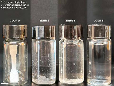 Science & Vie 1307 CE BOUT DE PLASTIQUE SE MANGE LUI-MÊME !