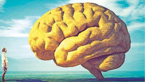 Science & Vie 1307 INTELLIGENCE HUMAINE Le vrai du faux