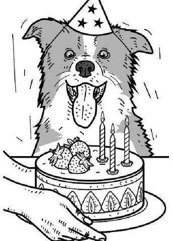 Science & Vie 1308 Pourquoi ne faut-il pas donner de chocolat aux chiens ?