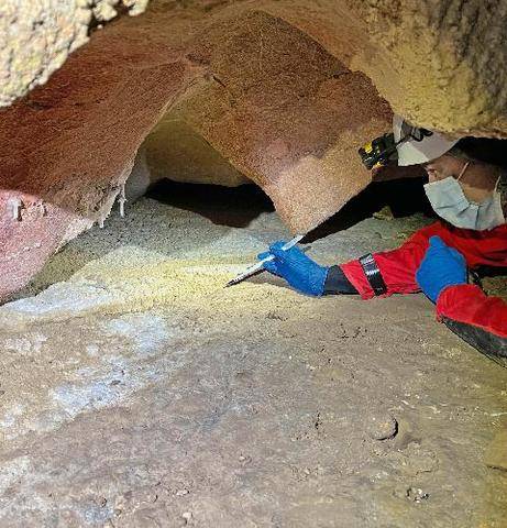 Science & Vie 1309 ON A EXTRAIT DE L’ADN HUMAIN DES PAROIS D’UNE GROTTE