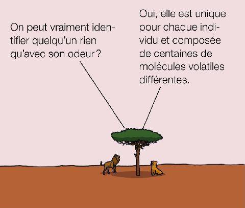Science & Vie 1309 Bulle de science