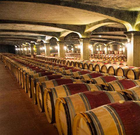 Science & Vie 1309 Crise climatique, baisse de la consommation… Comment réinventer le vin ?