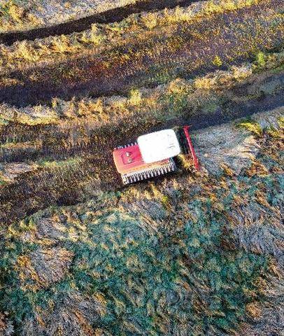 Science & Vie 1309 POUR QUE LA NATURE JOUE SON RÔLE, LA RESTAURER SERA INDISPENSABLE