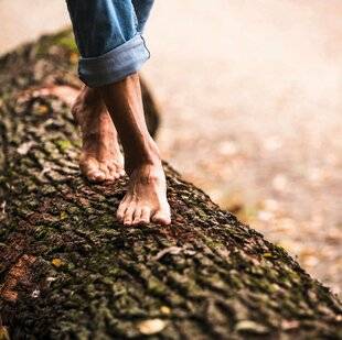 Psychologies Magazine 472 “L'ATTENTION À LA NATURE RÉGÉNÈRE LE CERVEAU”