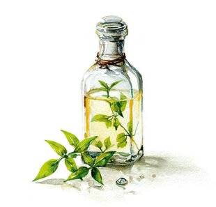 Psychologies Magazine 473 HYDROLAT