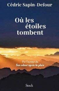 Psychologies Magazine 473 Où les étoiles tombent de Cédric Sapin-Defour