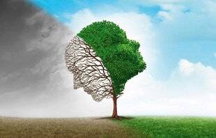 Psychologies Magazine 473 VIVRE AVEC UNE PERSONNE CYCLOTHYMIQUE