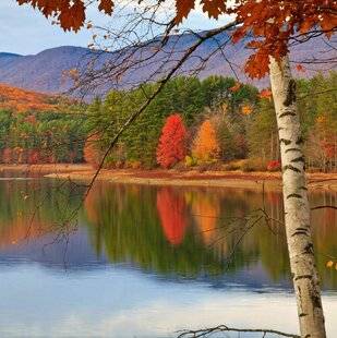 Psychologies Magazine 476 DES INITIATIVES DES DÉCOUVERTES DES TENDANCES