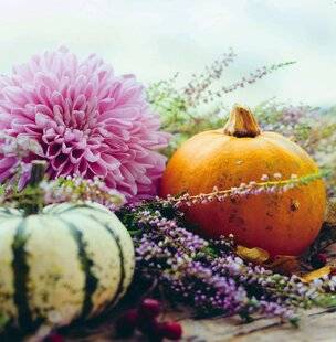 Psychologies Magazine 476 C'EST LA VIE