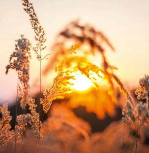 Psychologies Magazine 476 C'EST À VOUS