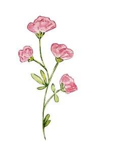 Psychologies Magazine 476 LE GERANIUM ROSAT