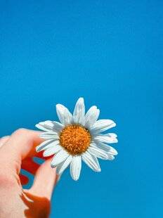 Psychologies Magazine 477 Je m'aime UN PEU, BEAUCOUP… PAS DU TOUT