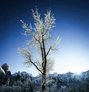 Psychologies Magazine 477 C'EST À VOUS