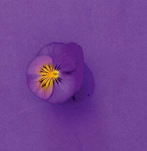 Psychologies Magazine 479 C’EST À VOUS