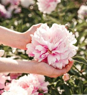 Psychologies Magazine 480 C'EST À VOUS