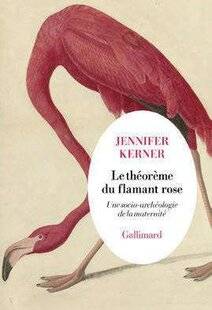 Psychologies Magazine 480 Le Théorème du flamant rose