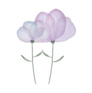 Psychologies Magazine 481 LE MOT DE LA FIN