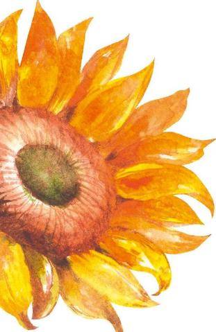 Psychologies Poche 484 Solaire TOURNESOL