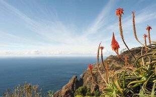 L'Auto-Journal évasion & SUV 116 MADÈREAU GRAND AIRDe cet archipel portugais émergé de l'Atlantique, Madère volcanique et luxuriante, avec sa nature préservée, son art de vivre et sa douceur climatique, compose avec Porto Santo, ourlée d'une longue plage dorée, le duo parfait.