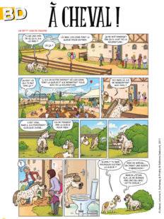 Science & Vie Découvertes 285 À CHEVAL !