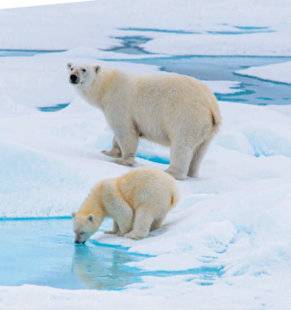 Science & Vie Découvertes 286 Les pôles, des mondes en danger