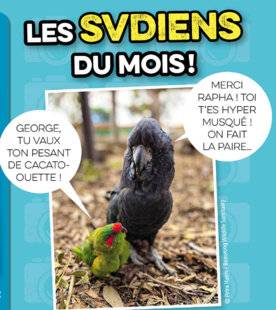 Science & Vie Découvertes 310 les SVDiens du mois