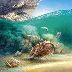 Science & Vie Découvertes 310 Le pompéi des mers !