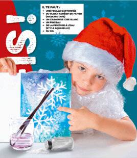 Science & Vie Découvertes 312 Crée tes cartes de Noël avec de la peinture au sel
