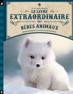 Science & Vie Découvertes 313 Craquants