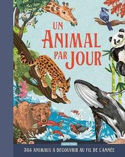 Science & Vie Découvertes 313 Bon jour