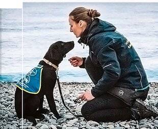 Science & Vie Découvertes 313 Éducateur de chiens guides d'aveugles