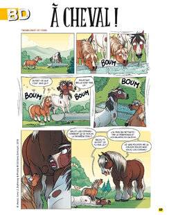 Science & Vie Découvertes 314 À CHEVAL !