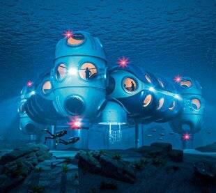 Science & Vie Découvertes 317 VIVRE SOUS LA MER
