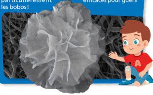 Science & Vie Découvertes 317 BOBOS FLEURIS DU FUTUR