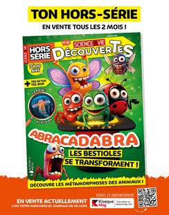 Science & Vie Découvertes 317 SCIENCE&VIE DÉCOUVERTES HORS SÉRIE