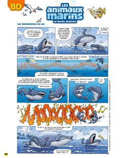 Science & Vie Découvertes 317 LES animaux marins en bande dessinée