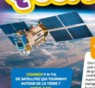 Science & Vie Découvertes 318 COMBIEN Y A-T-IL DE SATELLITES QUI TOURNENT AUTOUR DE LA TERRE ?